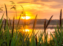 На выходных вернется лето