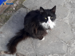 И снова пасмурно весь день будет в Шахтах в четверг