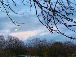 О погоде в Шахтах и примете дня