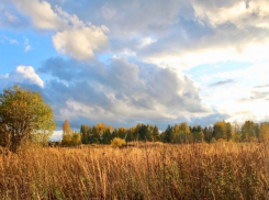 «Уж небо осенью дышало»: погода в Шахтах и лунный календарь 