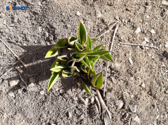 Весна постепенно вступает в свои права