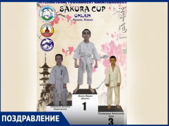 Завоеванные медали шахтинские каратисты получили, выйдя на виртуальный подиум