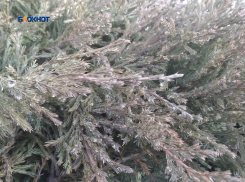 К выходным ожидается похолодание