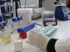 В Шахтах зафиксирован первый официально подтвержденный случай заболевания гриппом