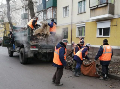 Шахтинские власти собираются потратить на уборку города более 46 миллионов рублей