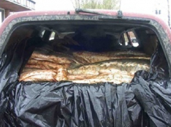  На трассе Шахты - Цимлянск два водителя пытались перевезти 250 киллограмм рыбы