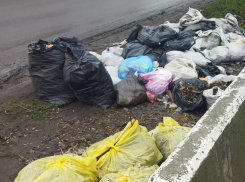 Шахтинцы обратились с проблемой вывоза мусора, а администрация им предложила выйти на субботник 