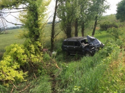 Погиб 37-летний мужчина, врезавшись на «Ниве» в дерево под Шахтами