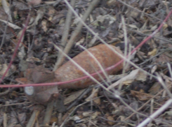  В Шахтах возле ручья прохожий нашел минометную мину