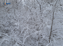 Сегодня ожидается снегопад