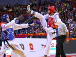 Обнародована программа чемпионата и кубка России по тхэквондо в Шахтах