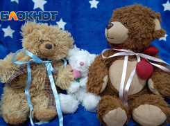 За второго ребенка получили, еще на полмиллиона можно будет разбогатеть и за третьего