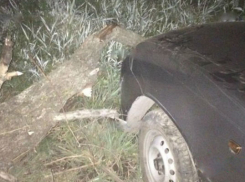 В Шахтах «Дэу» влетела в дерево