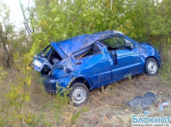 В Шахтах в аварии пострадала водитель с пассажиром и двумя детьми