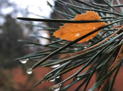 «Тишины осенний день»: погода в Шахтах 