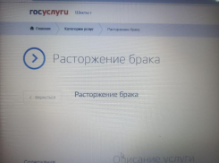 Теперь шахтинцы могут оформить развод через Госуслуги