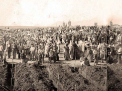 Быть или не быть многоэтажке в Александровском парке?