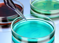 Шахтинцам напомнили, как выбрать безопасную «незамерзайку»