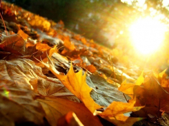 Начало недели порадует шахтинцев теплом и солнцем