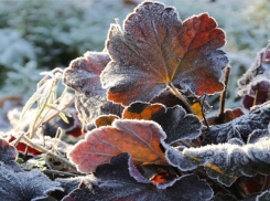 Настасьин день: погода в Шахтах и народный календарь 