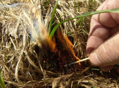 Шахтинцев предупреждают: режим повышенной пожароопасности в области продлен