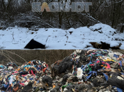 Кучи лоскутков продолжают создавать свалку в Шахтах отравлять атмосферу 