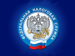 Сотрудники ИФНС напоминают о традиционной уплате налогов