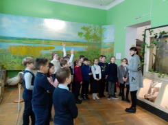 Гимназисты искали в музее уникальные образцы донской флоры и фауны