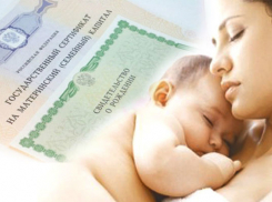 Свыше 10 000 донских семей получили материнский капитал за 6 месяцев текущего года