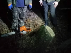 Полицейские линейного отдела на станции Шахтная поймали черных лесорубов