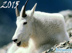 Что ждет шахтинцев в 2015 году