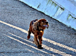 Чтобы день был добрым: погода в Шахтах и примета дня