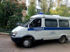 На рынке в Шахтах обнаружили рыбу без документов 