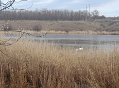 В воскресенье потеплеет и будет солнечно