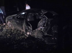 Четыре девушки получили травмы в протаранившем дерево автомобиле Hyundai Accent в Шахтах