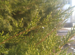 Будет пасмурно, но тепло