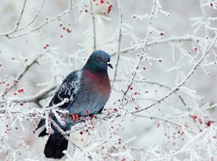 Переменчивая погода ожидает шахтинцев в субботу