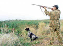 Шахтинские охотники открыли сезон на полевую дичь с подружейными собаками