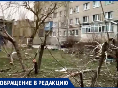 Лесоповал на детской площадке: куда смотрят шахтинские власти?