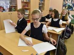 Всероссийские проверочные работы в Шахтах напишут ученики 4-8 и 11 классов