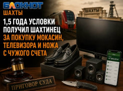 1,5 года условного срока получил шахтинец за покупку мокасин, телевизора и ножа с чужого счета