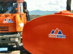 Генеральный директор  «КИНГКОУЛа» Владимир Пожидаев пойдет под суд