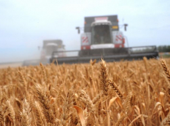 Бесплатная правовая помощь стала доступна для донских аграриев