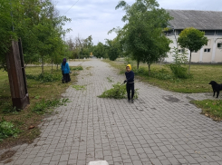 В Шахтах продолжаются работы по благоустройству территории
