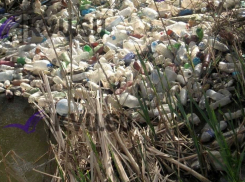 Реку Грушевку в Шахтах в очередной раз завалило мусором