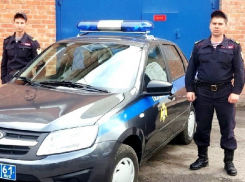 На глазах у патрульных автомобиль в Шахтах влетел в дерево