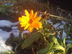 Синоптики обещают снег и прояснение