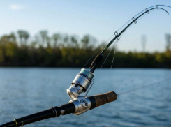 Где нельзя будет рыбачить с 1 марта в Ростовской области 