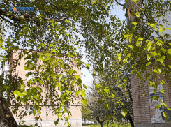 Солнышко выглянет только с полудня и порадует шахтинцев до заката