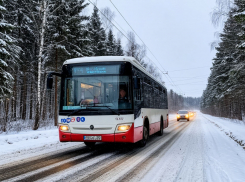 Водитель автобуса накричал на пассажиров из-за заснеженной остановки на ХБК в Шахтах